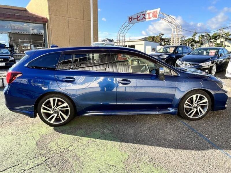 LEVORG