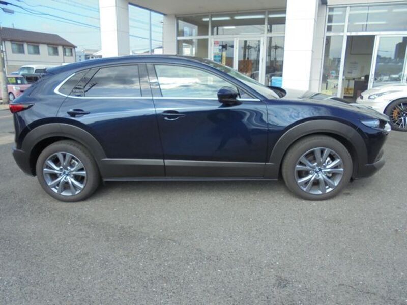 CX-30
