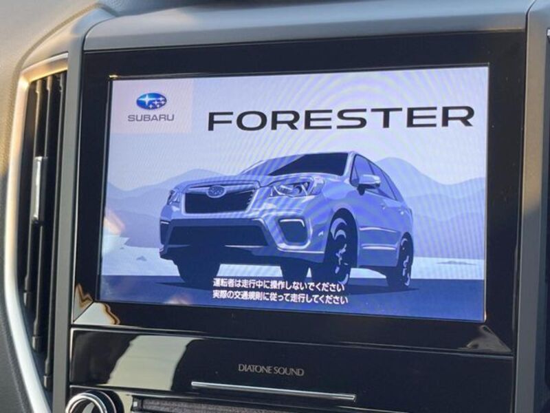 FORESTER