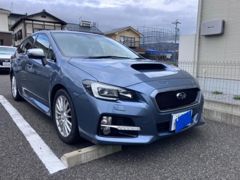 LEVORG-0