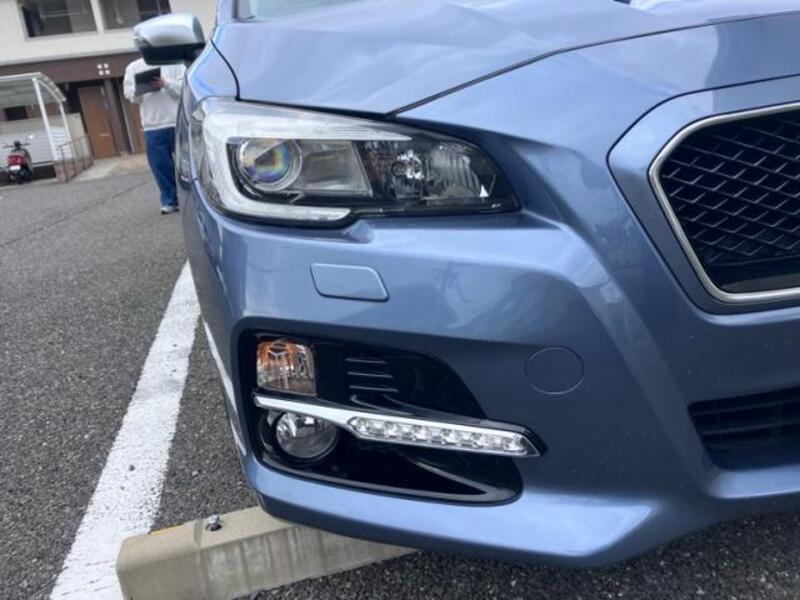 LEVORG
