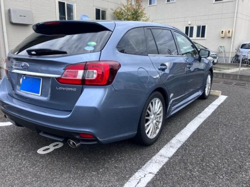 LEVORG