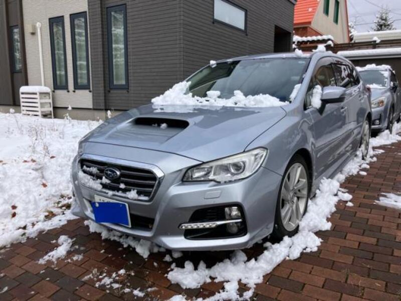LEVORG-0