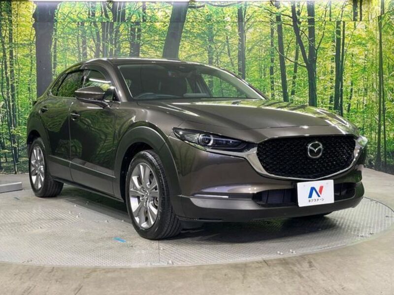 CX-30