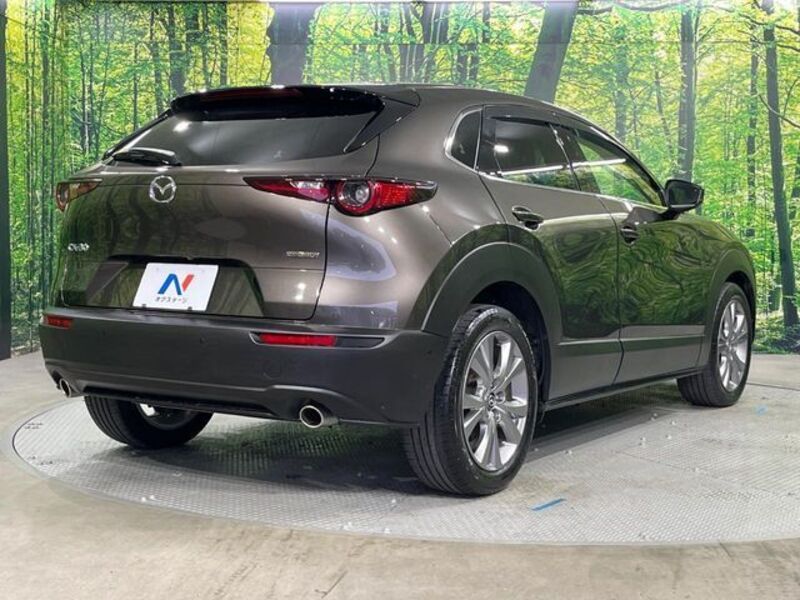 CX-30