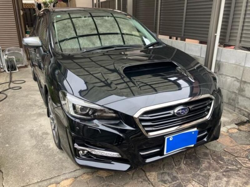 LEVORG-0