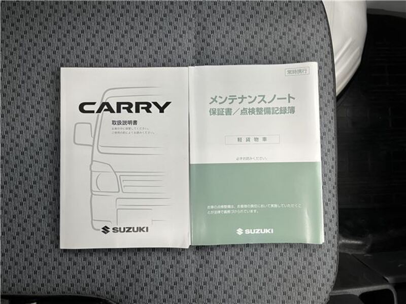 CARRY TRUCK