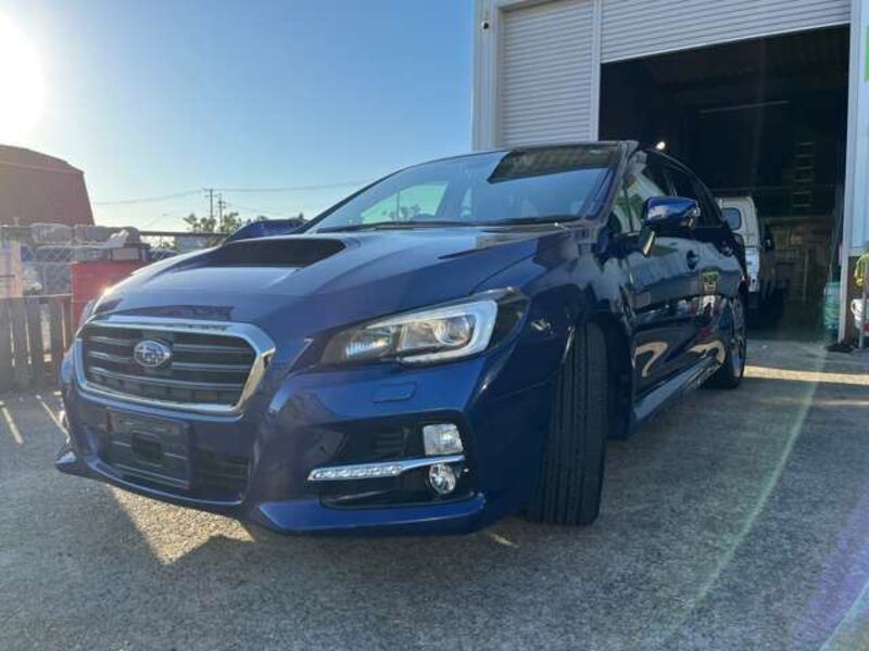 LEVORG