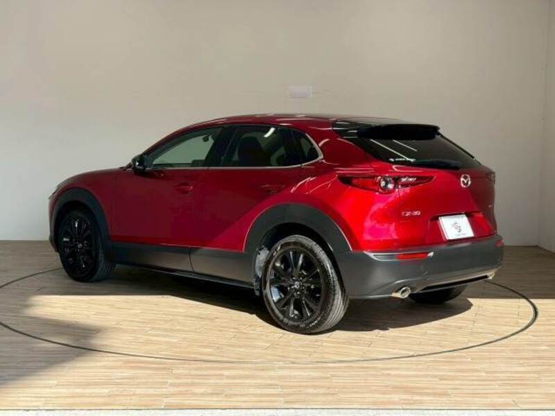 CX-30