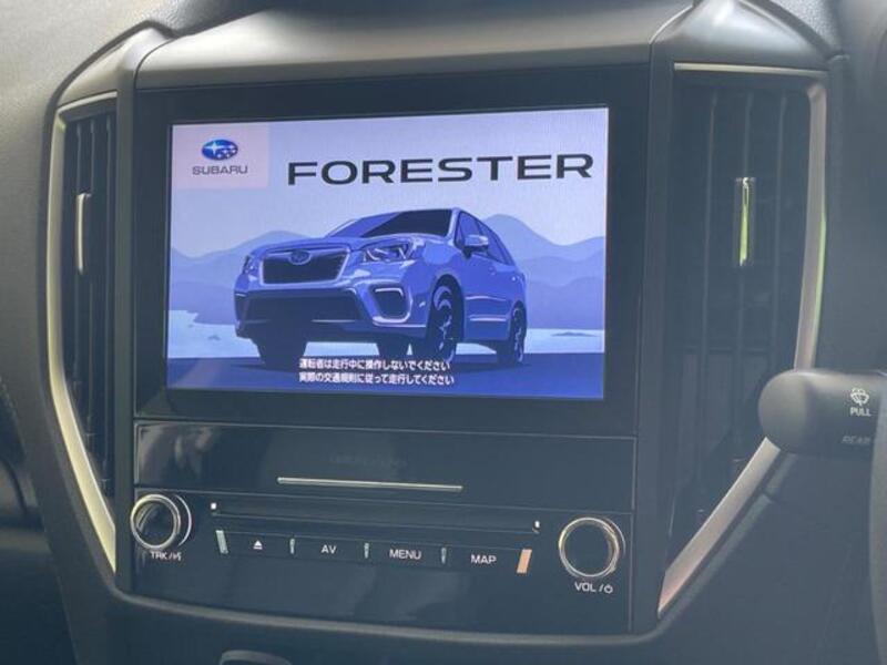 FORESTER