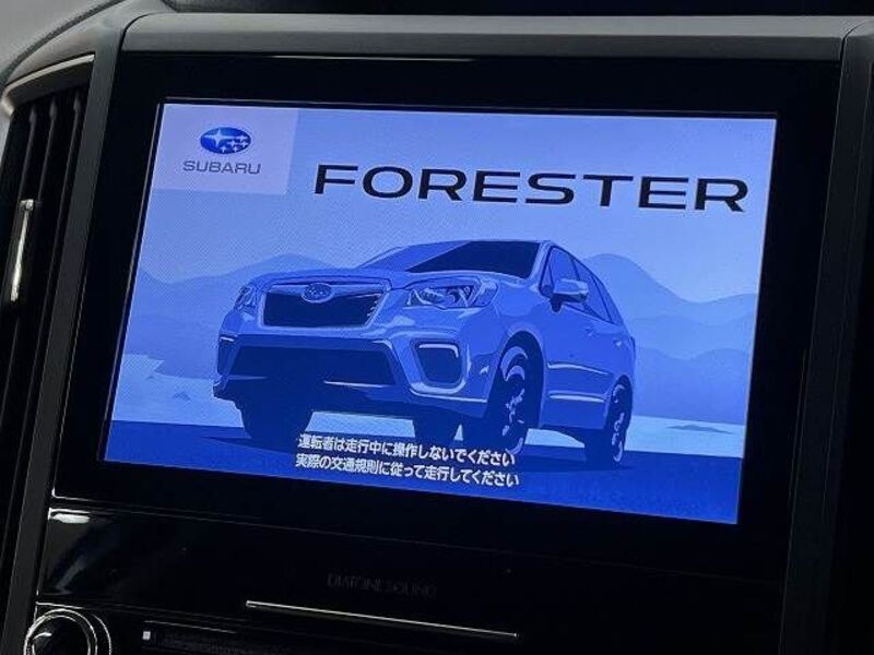 FORESTER