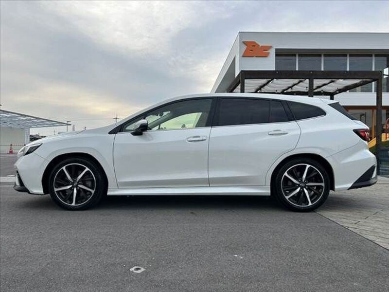 LEVORG