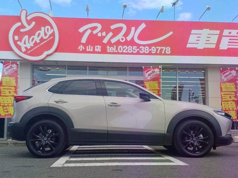 CX-30
