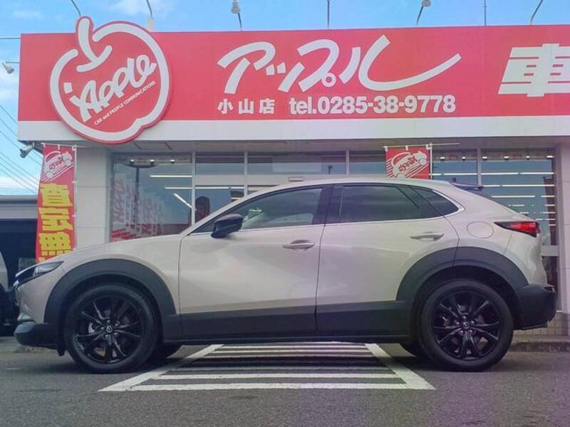 CX-30