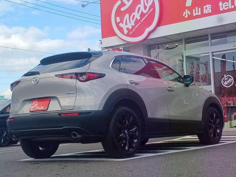CX-30