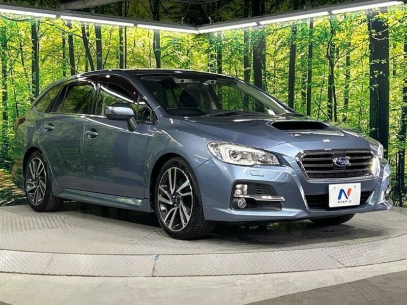 LEVORG
