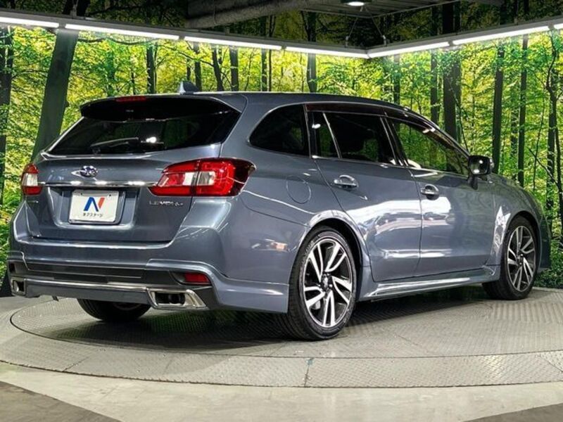 LEVORG