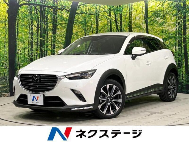 CX-3-0