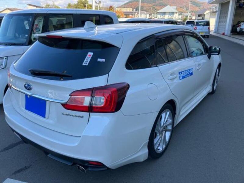 LEVORG
