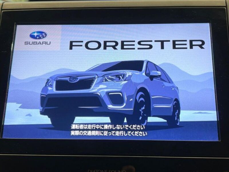 FORESTER