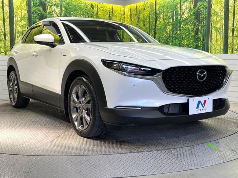 CX-30