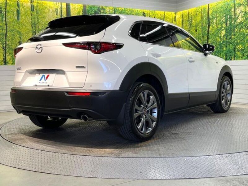 CX-30