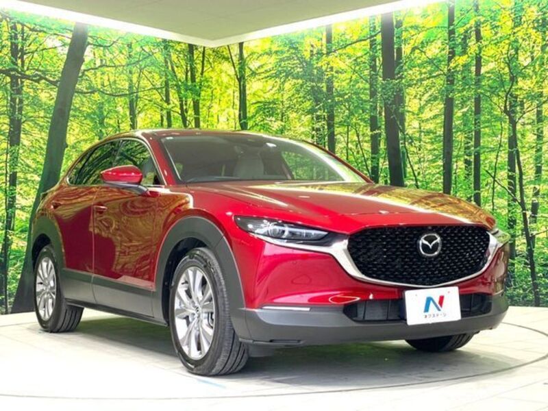 CX-30