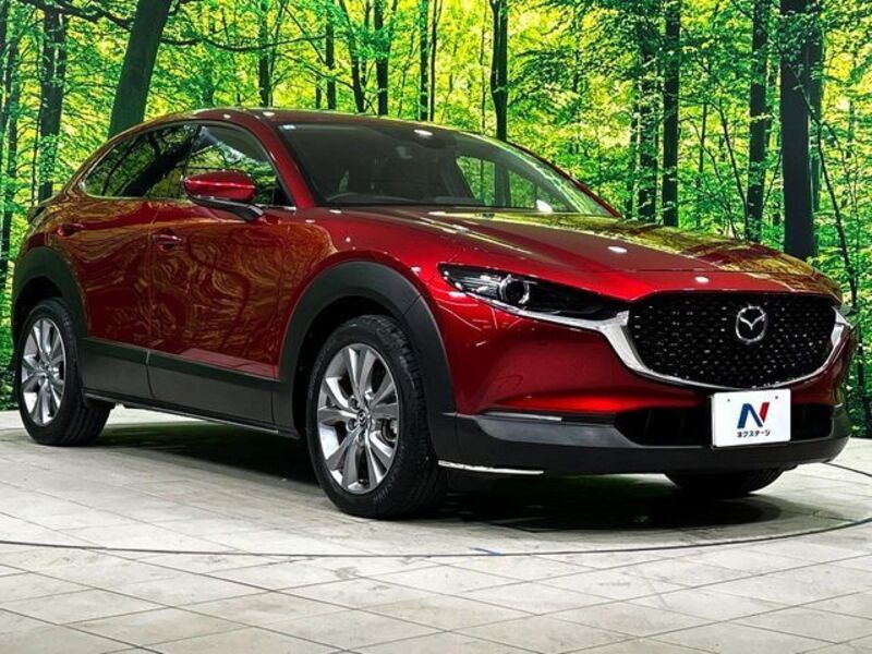 CX-30