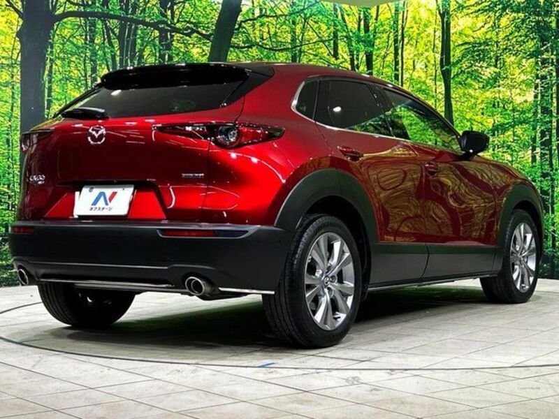 CX-30