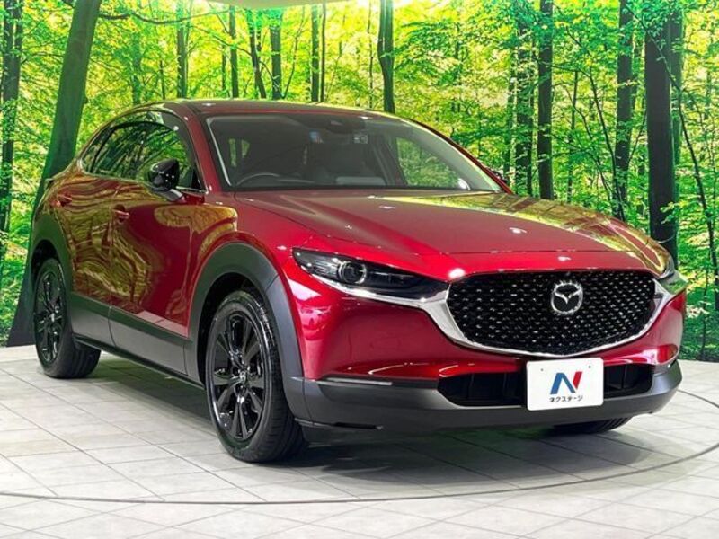 CX-30