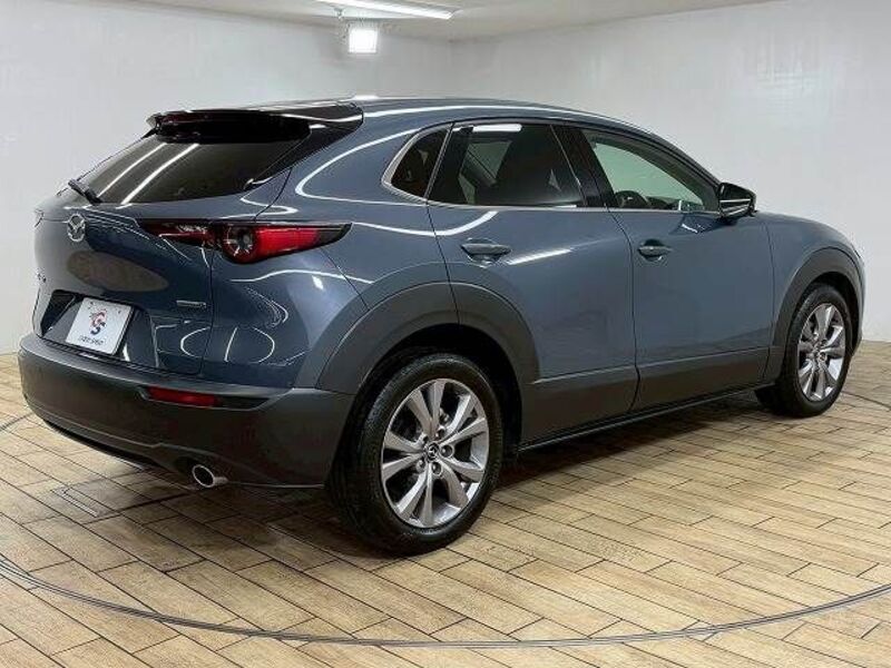 CX-30