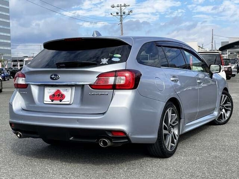 LEVORG