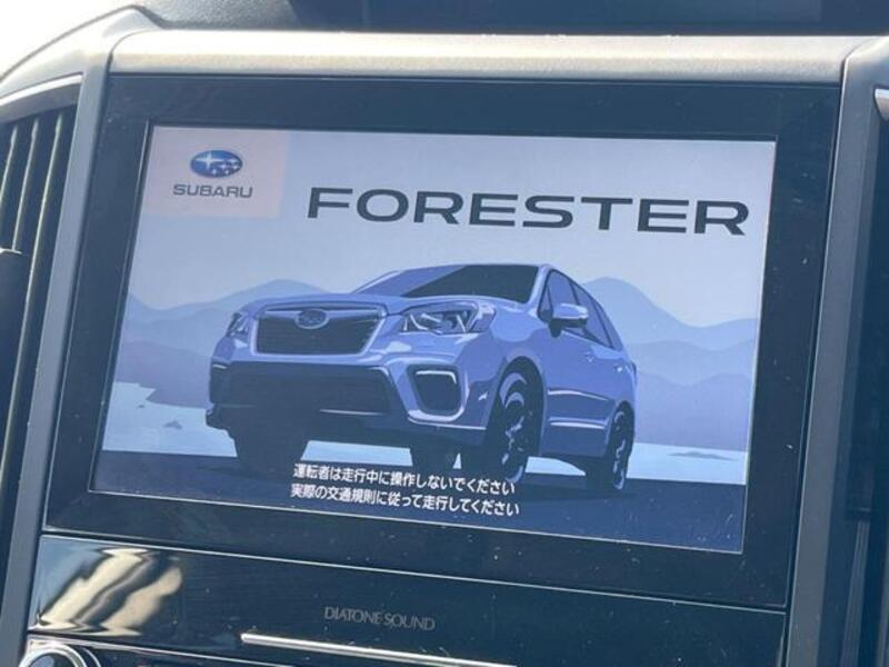 FORESTER