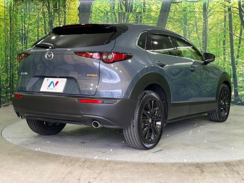 CX-30
