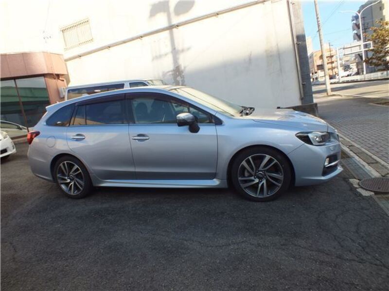 LEVORG