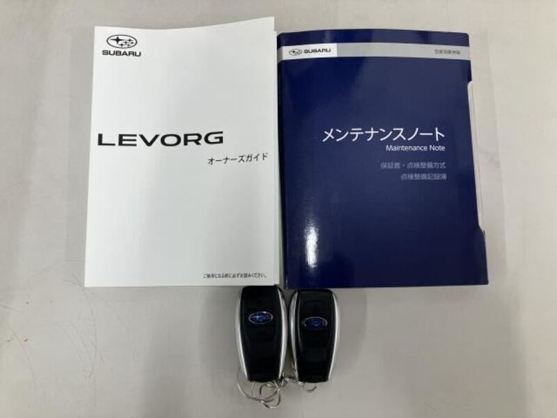 LEVORG