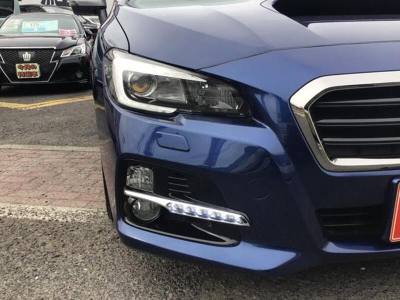 LEVORG