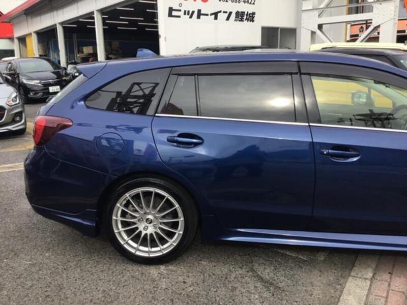 LEVORG