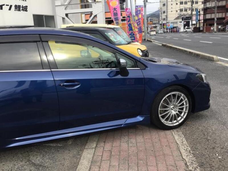 LEVORG