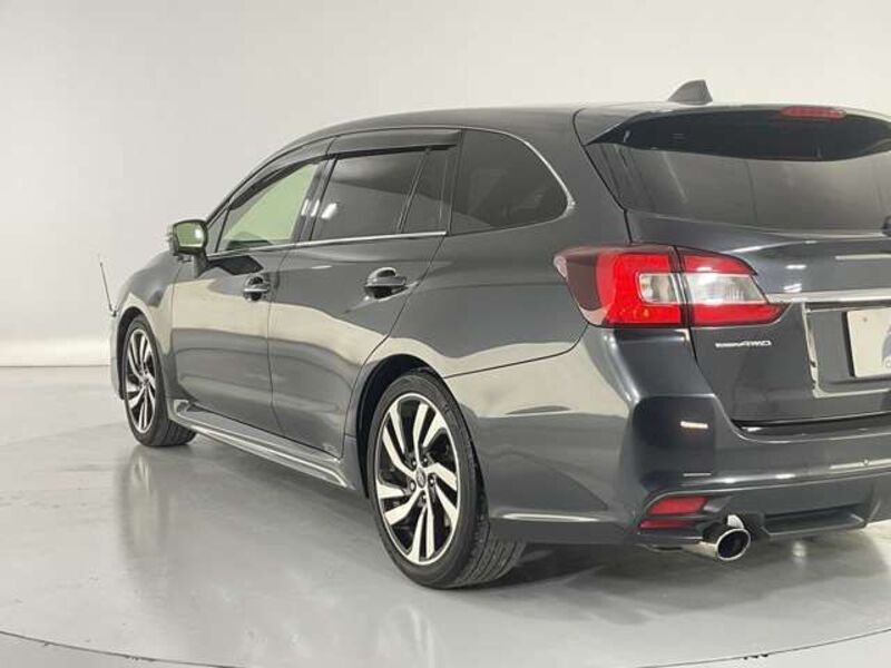 LEVORG