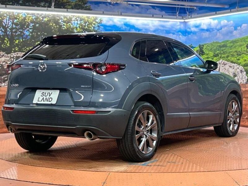 CX-30