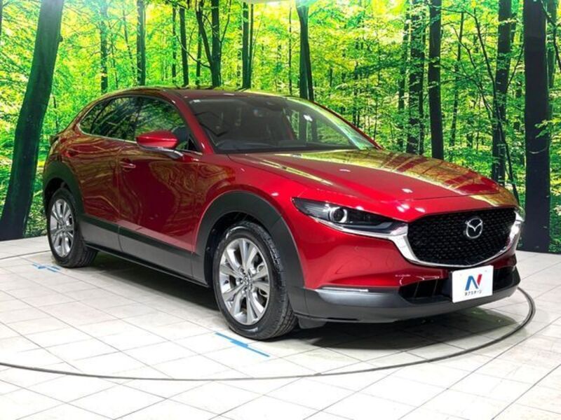 CX-30