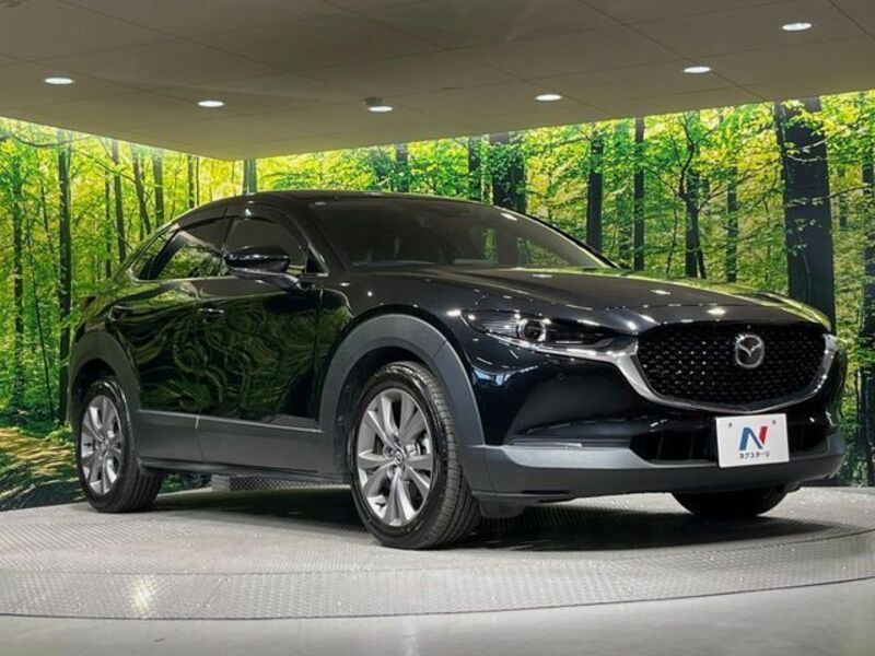 CX-30