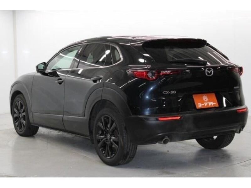 CX-30