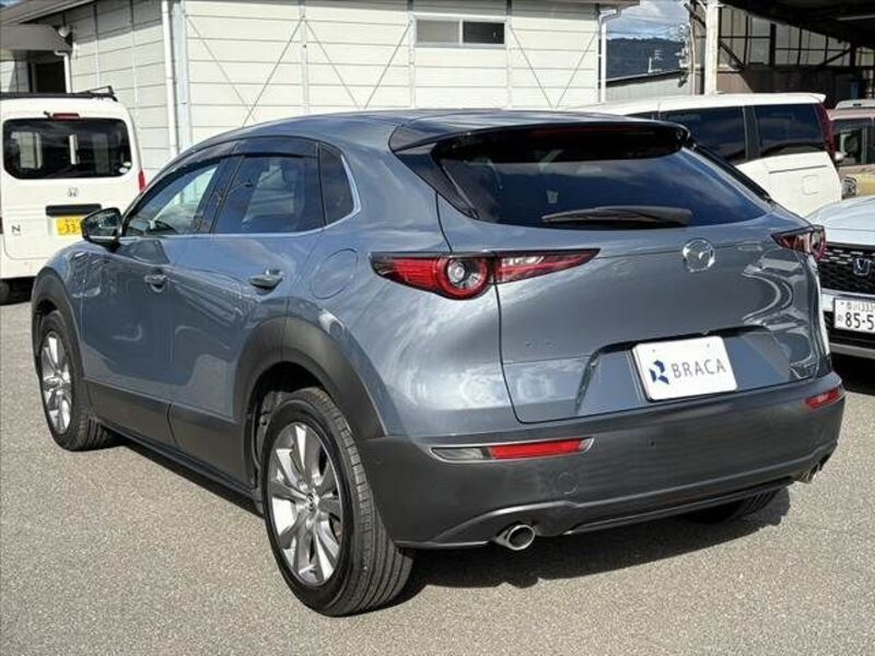 CX-30