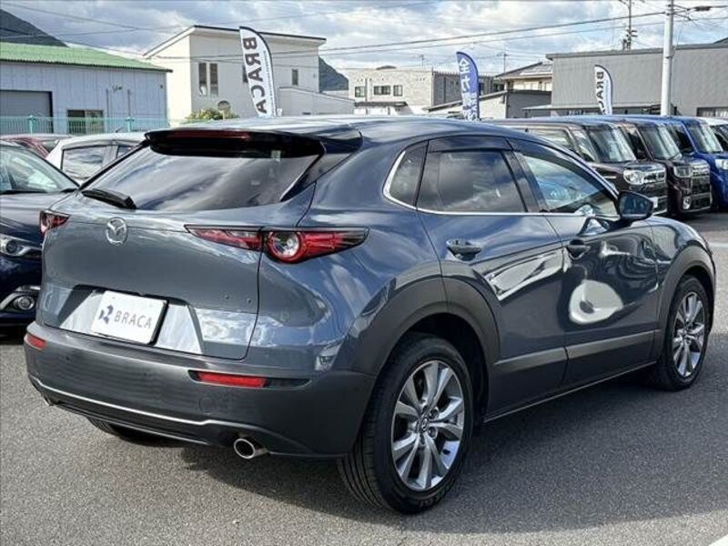 CX-30