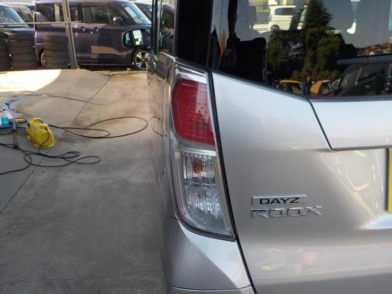 DAYZ ROOX