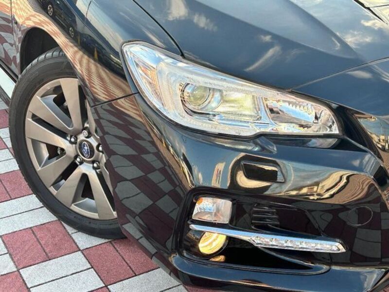 LEVORG