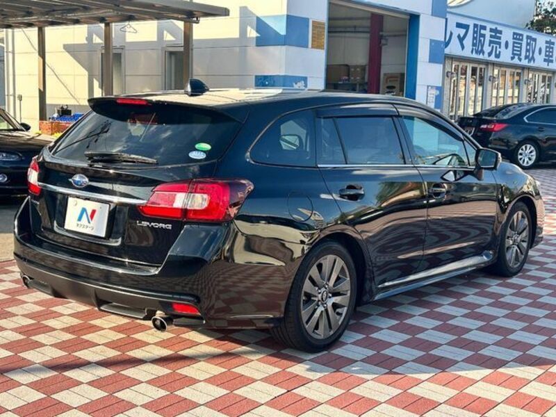 LEVORG