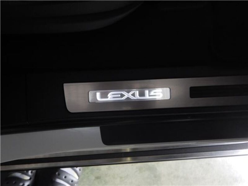 LX